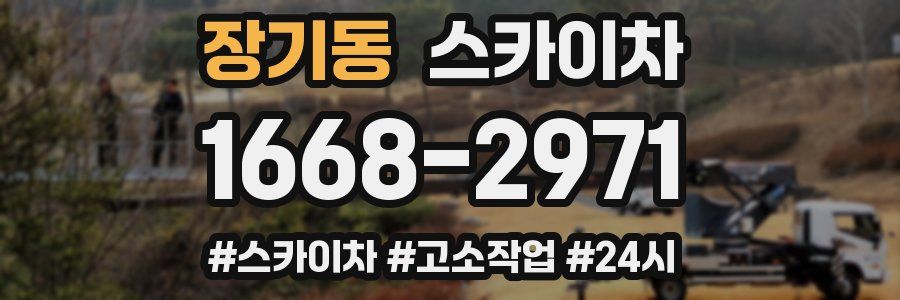 장기동 스카이차