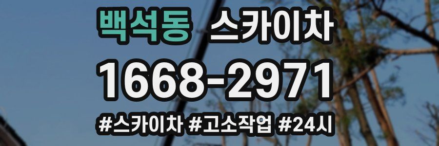 백석동 스카이차