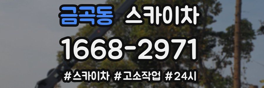 금곡동 스카이차