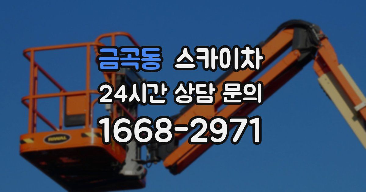 금곡동 스카이차