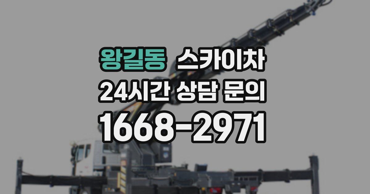 왕길동 스카이차