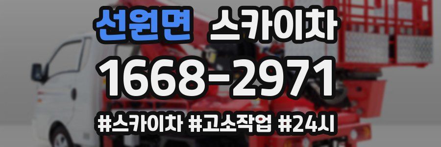 선원면 스카이차