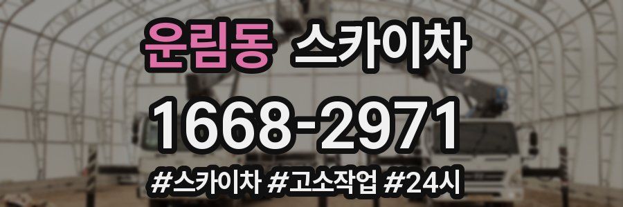 운림동 스카이차