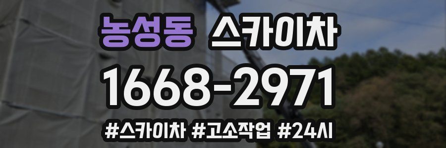 농성동 스카이차