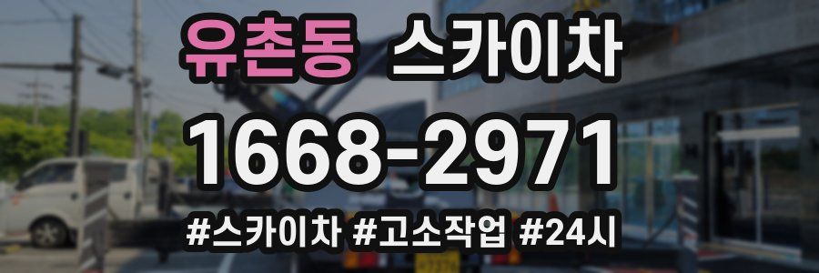 유촌동 스카이차