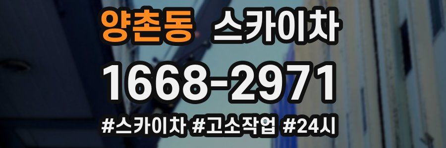 양촌동 스카이차