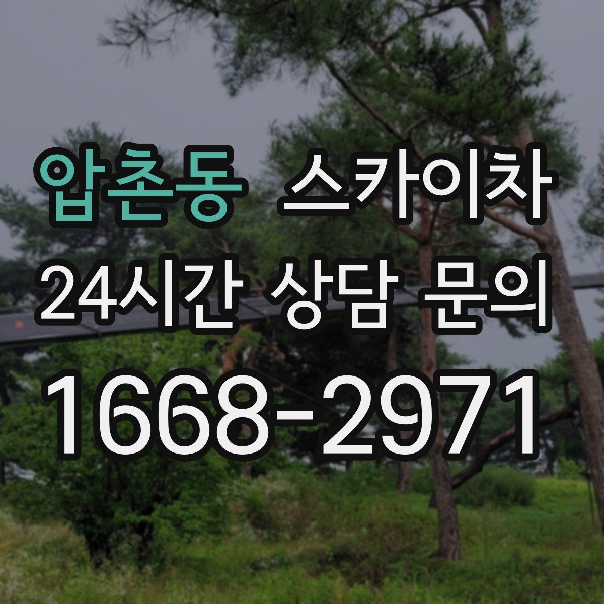 압촌동 스카이차 간판 교체 일정이 촉박할 때 대처