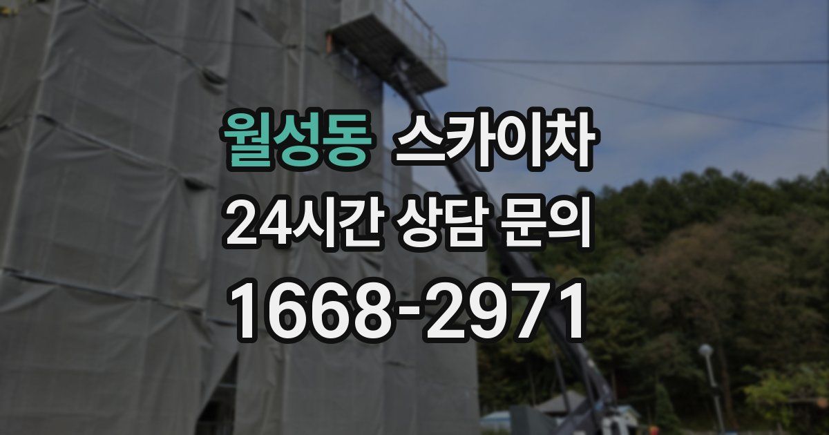 월성동 스카이차