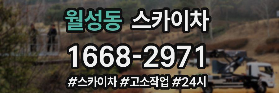 월성동 스카이차