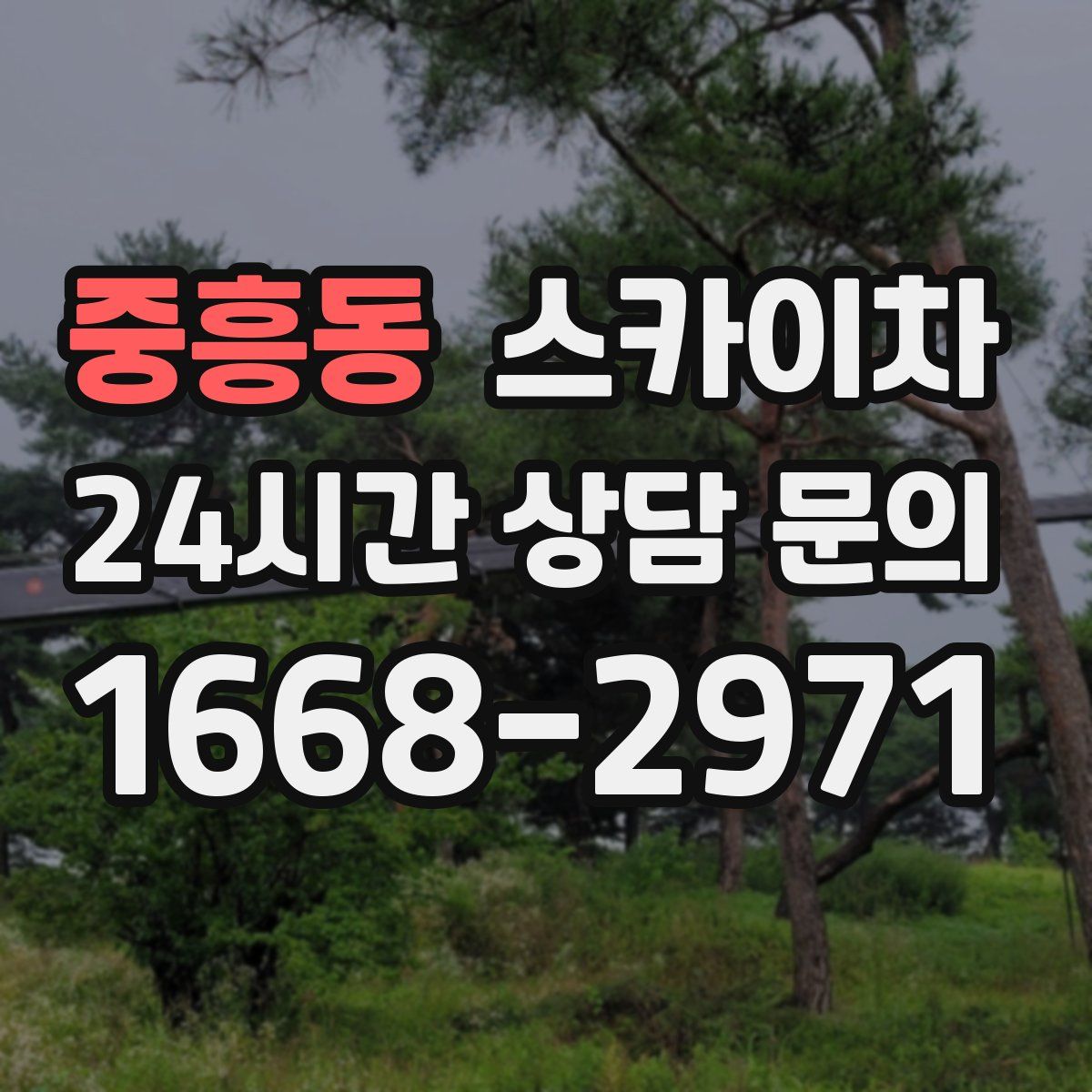 중흥동 스카이차