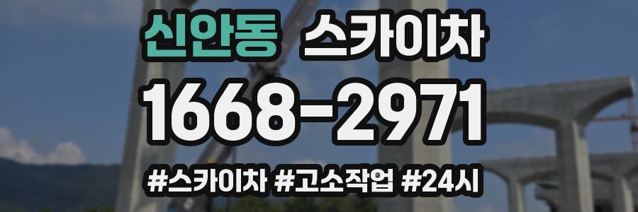 신안동 스카이차