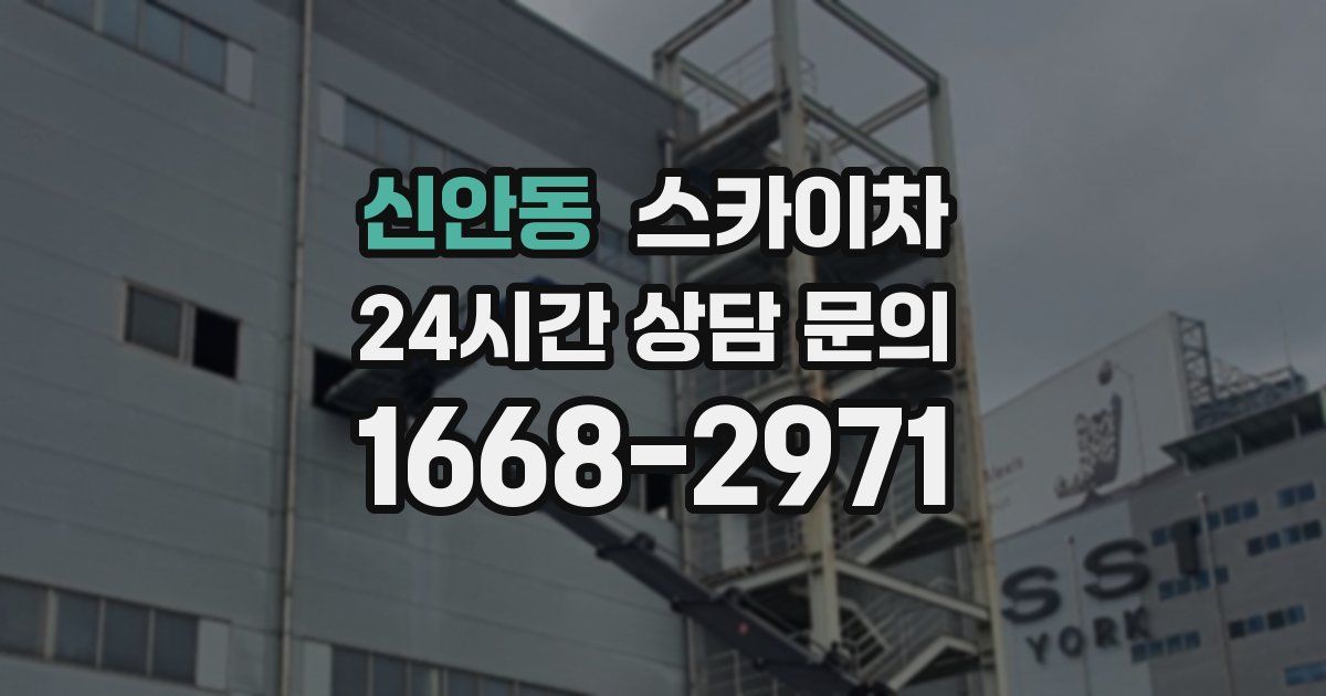 신안동 스카이차