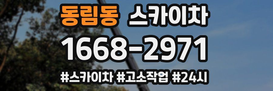 동림동 스카이차