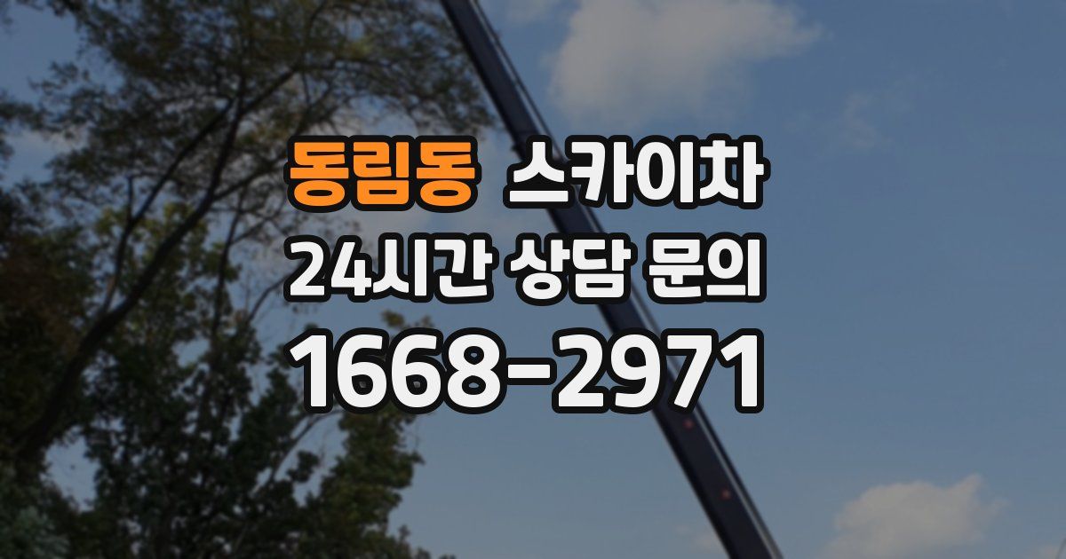 동림동 스카이차