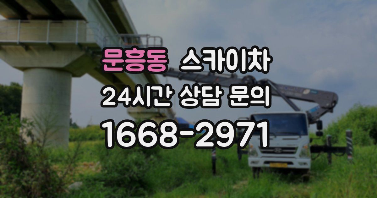 문흥동 스카이차