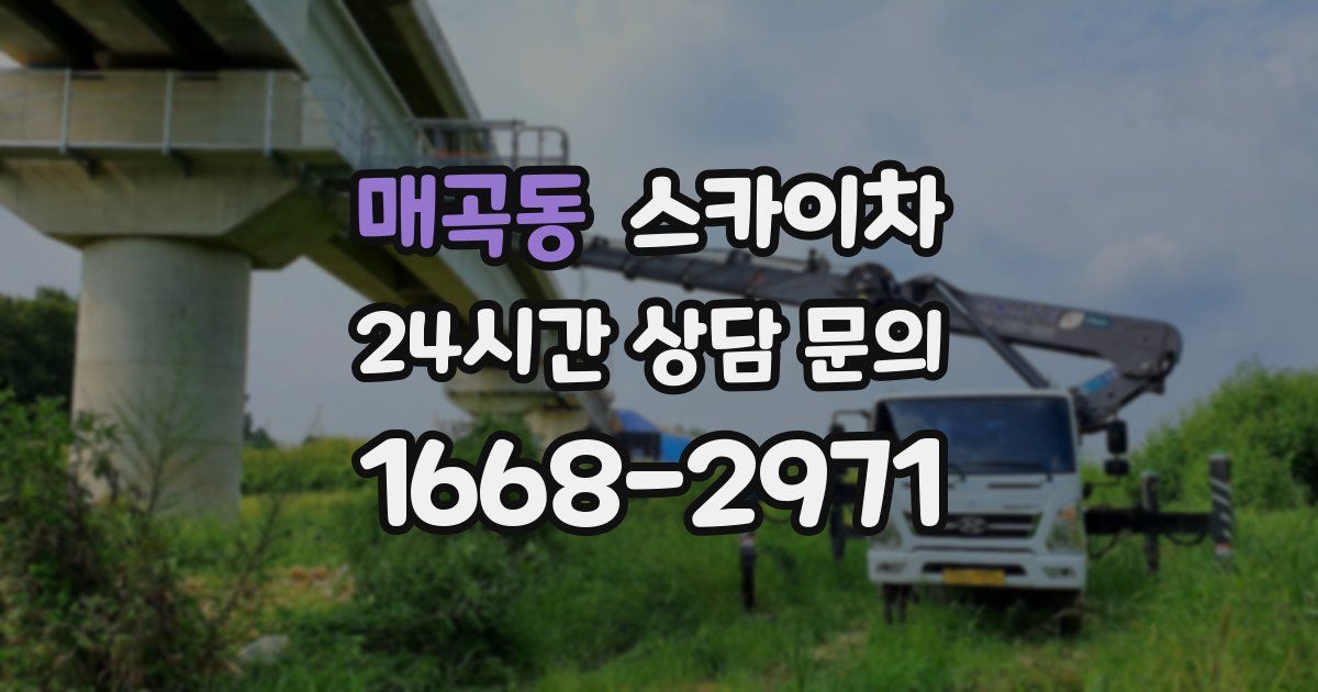 매곡동 스카이차