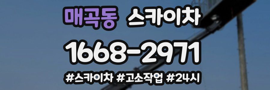 매곡동 스카이차