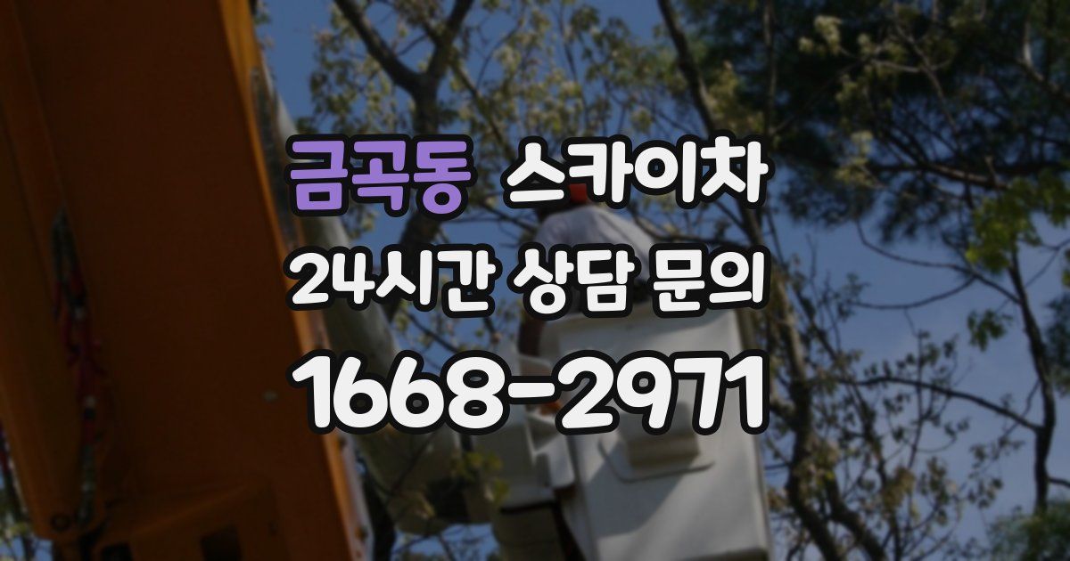 금곡동 스카이차