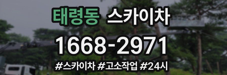 태령동 스카이차