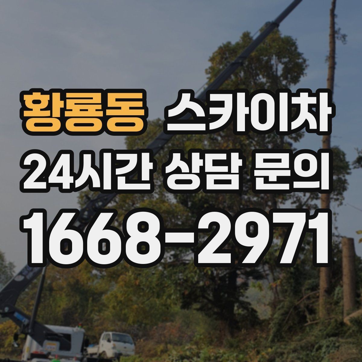 황룡동 스카이차 나무 가지 전정 작업에 활용하는 방법