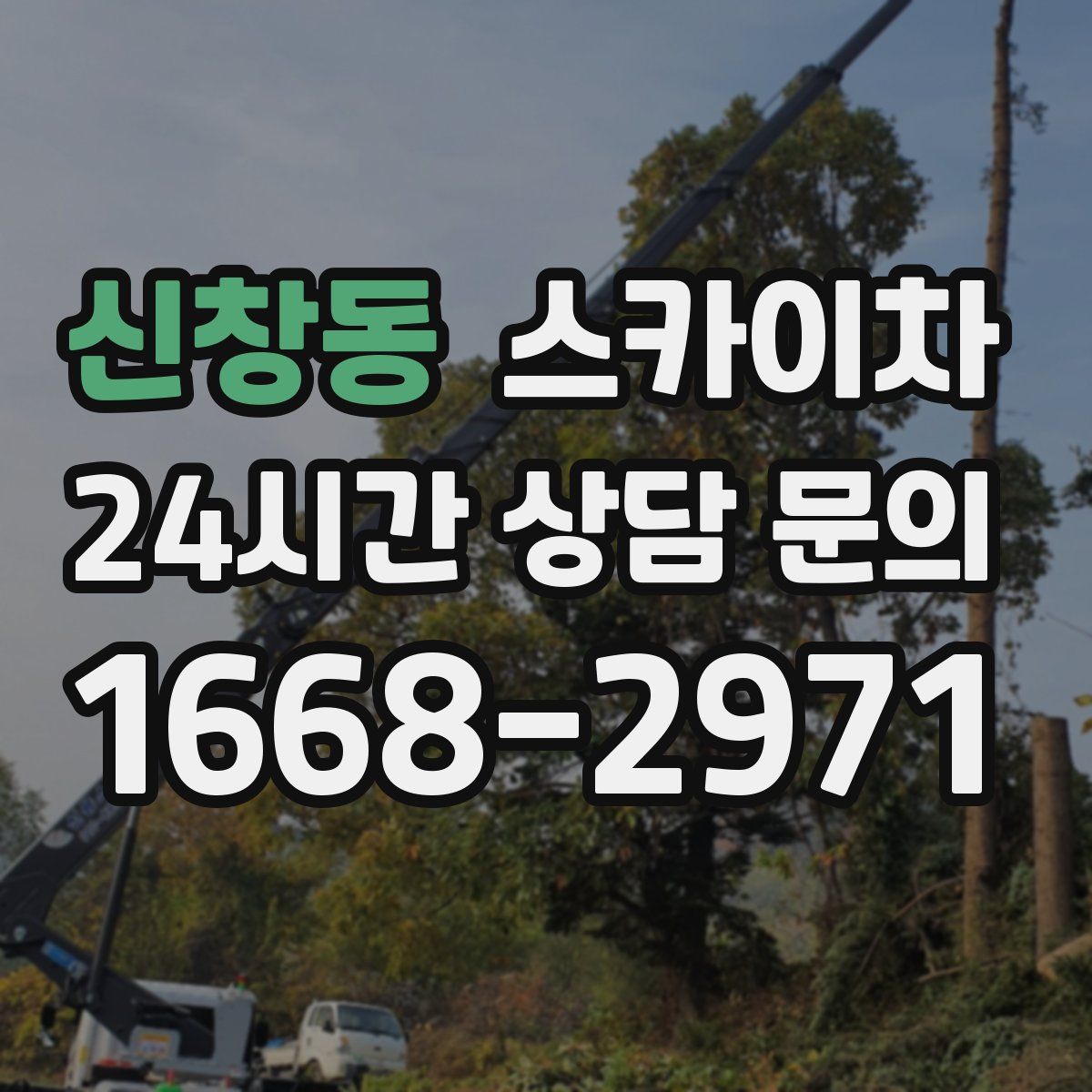 신창동 스카이차