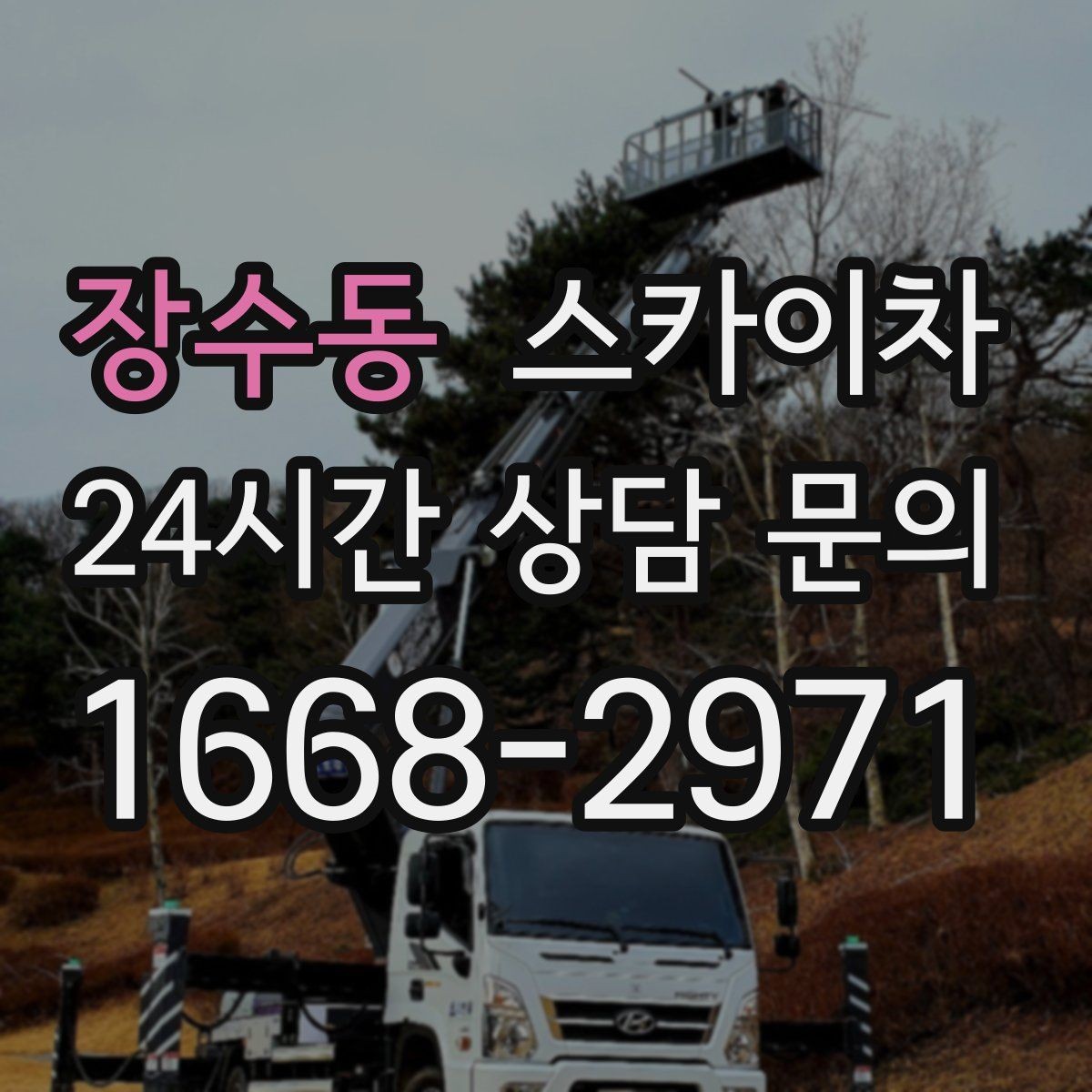 장수동 스카이차 공원 조명 시설 점검이 필요할 때