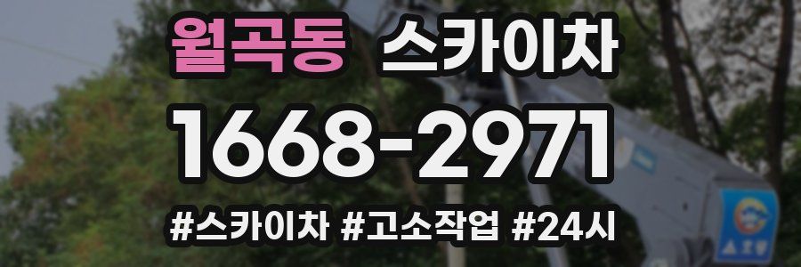 월곡동 스카이차