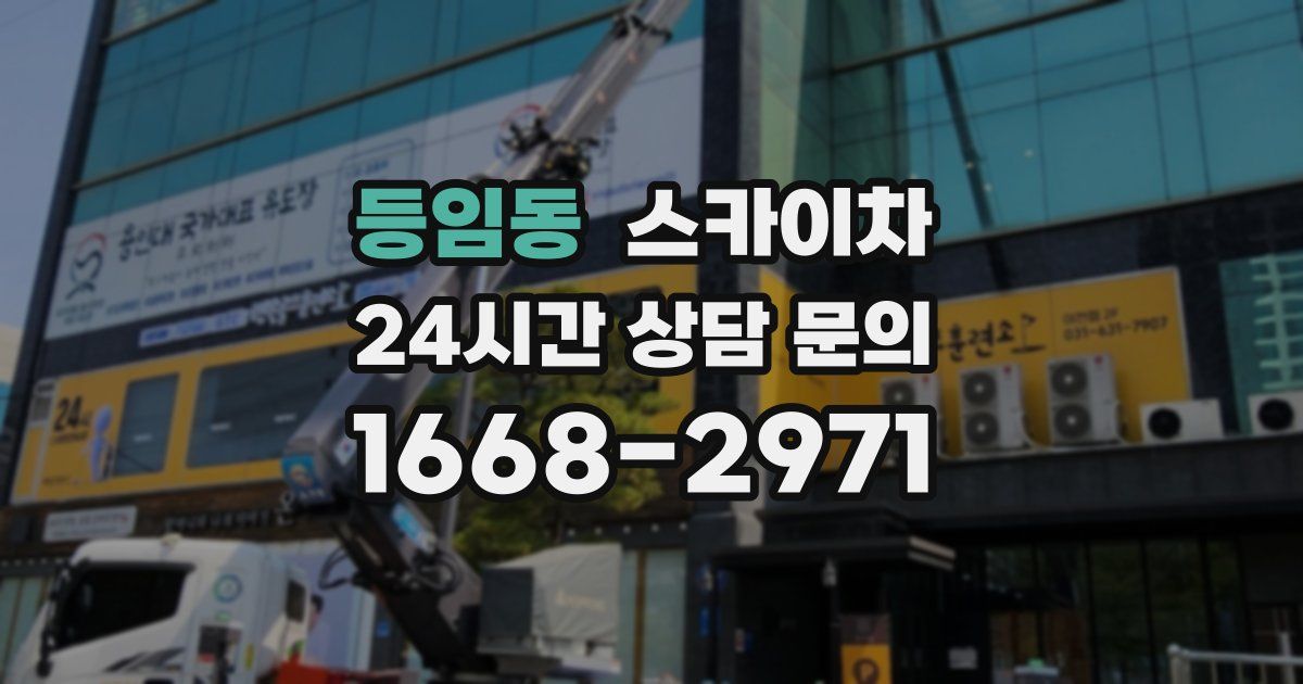 등임동 스카이차