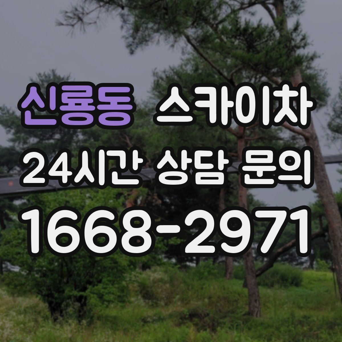 신룡동 스카이차 좁은 골목 현장에서도 가능한가요