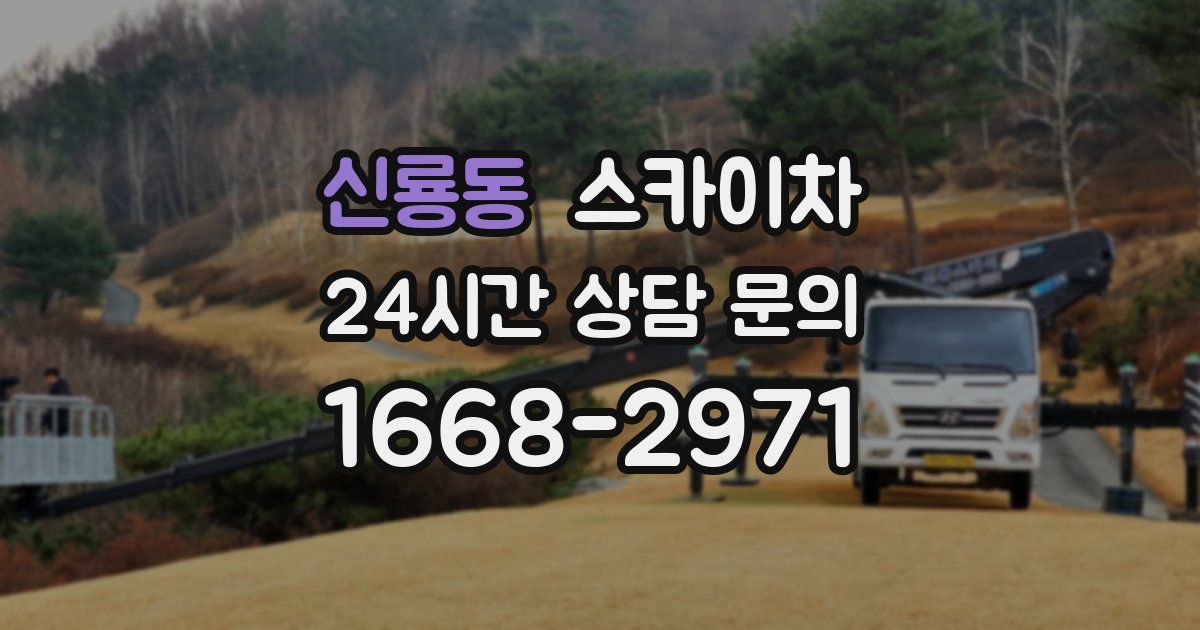 신룡동 스카이차