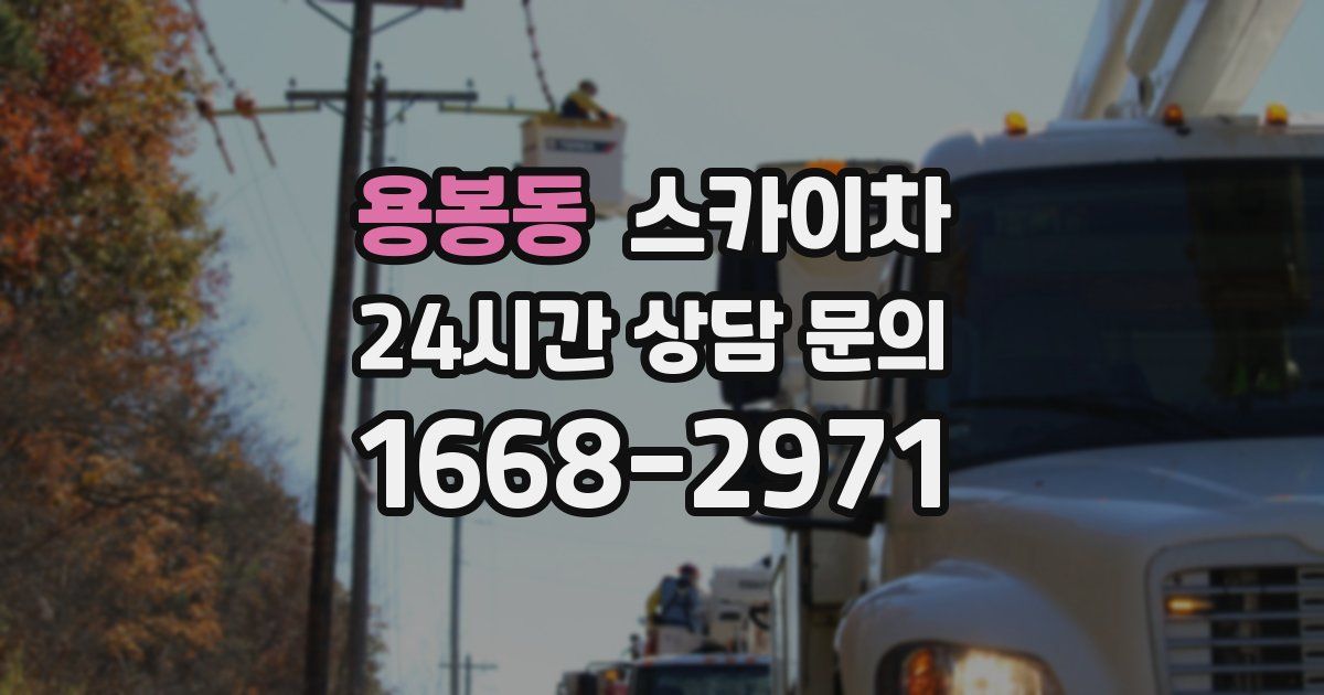 용봉동 스카이차