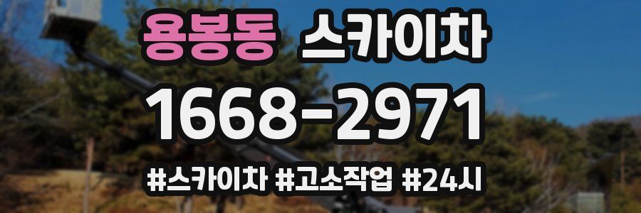 용봉동 스카이차