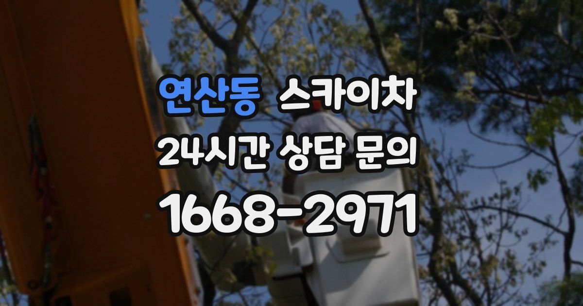 연산동 스카이차