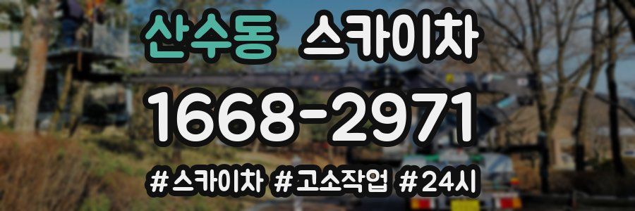 산수동 스카이차