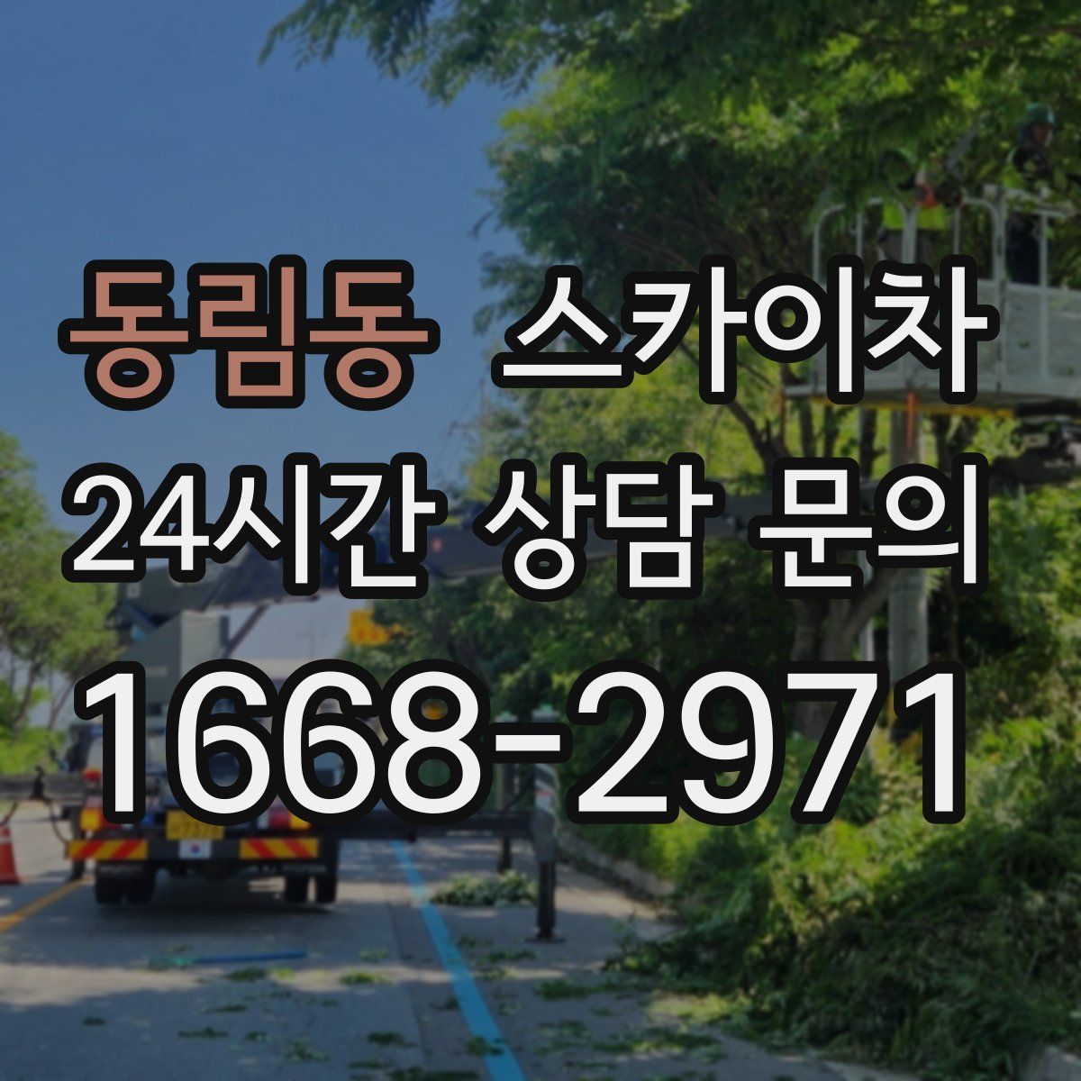 동림동 스카이차