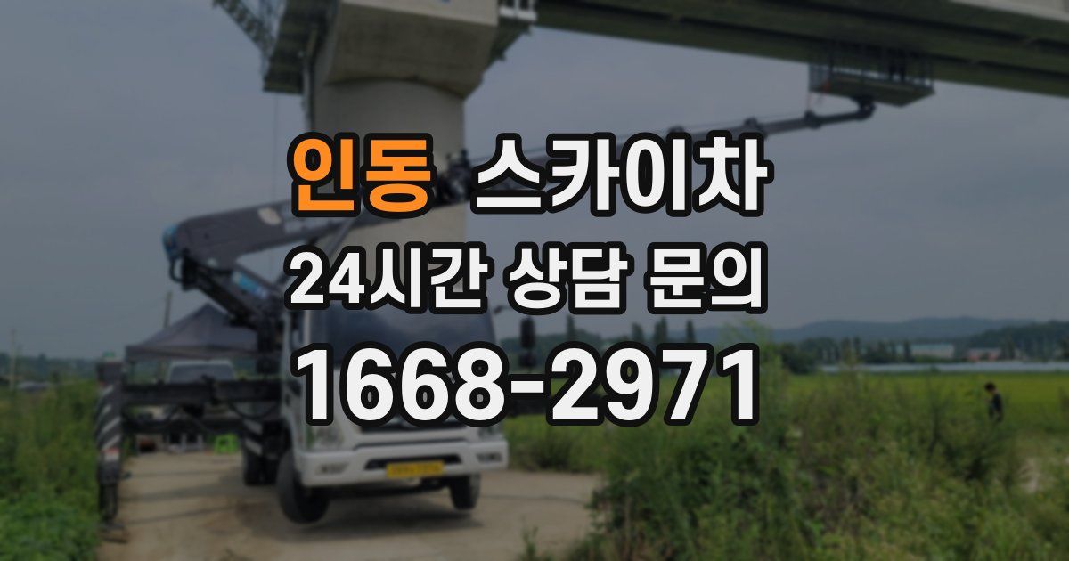 인동 스카이차