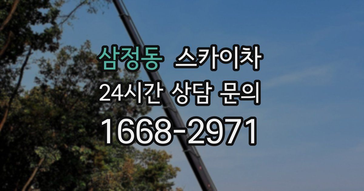 삼정동 스카이차