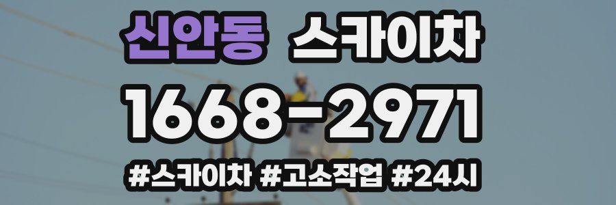 신안동 스카이차