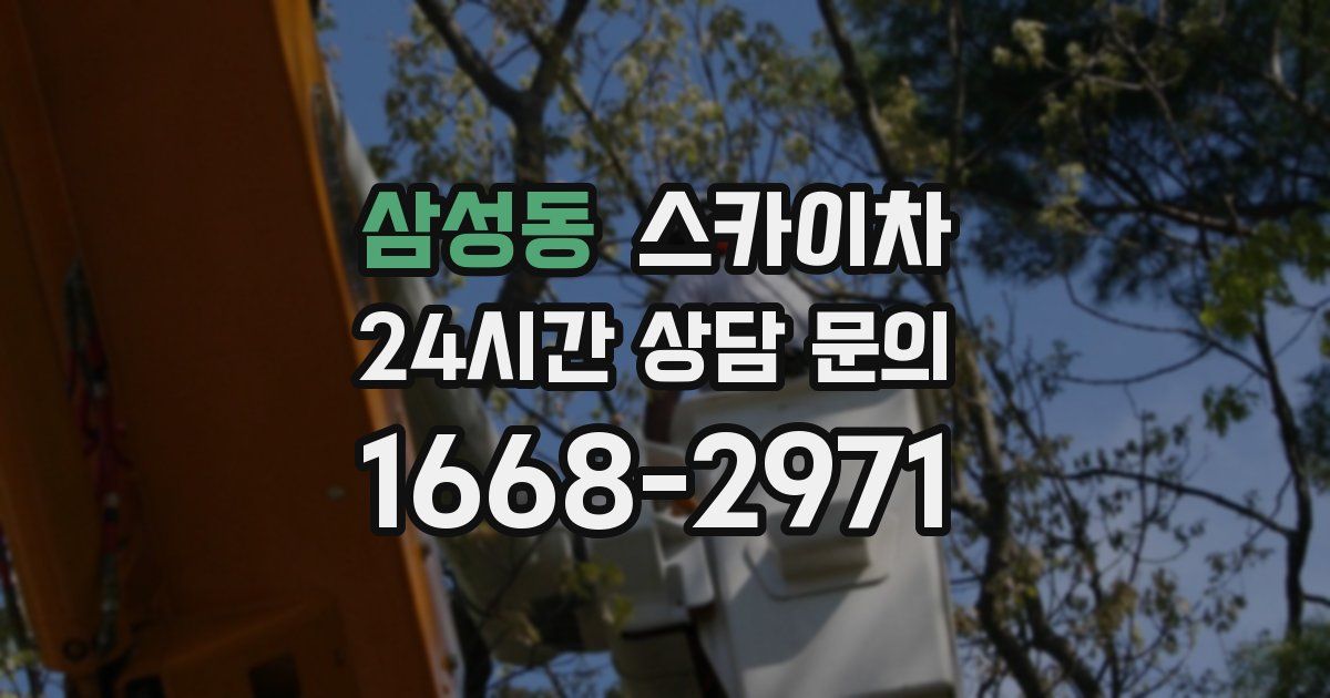 삼성동 스카이차