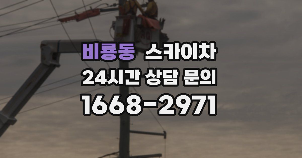 비룡동 스카이차