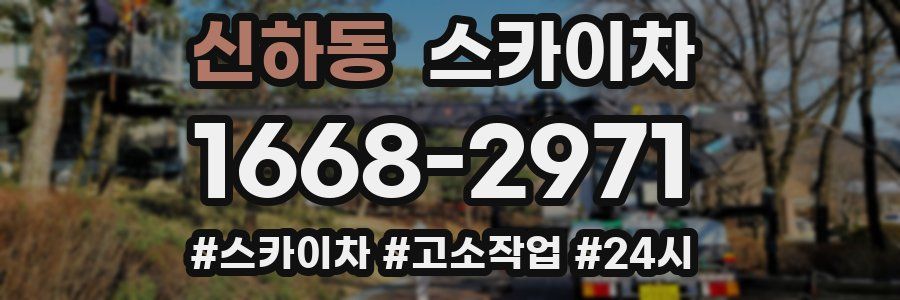 신하동 스카이차