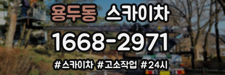 용두동 스카이차