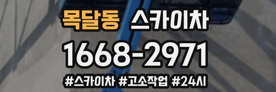 목달동 스카이차