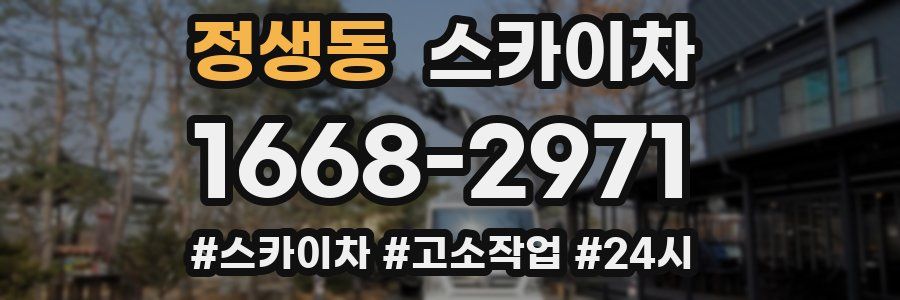 정생동 스카이차