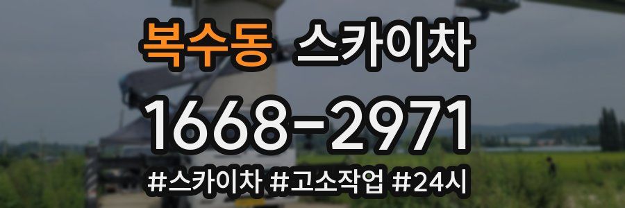 복수동 스카이차