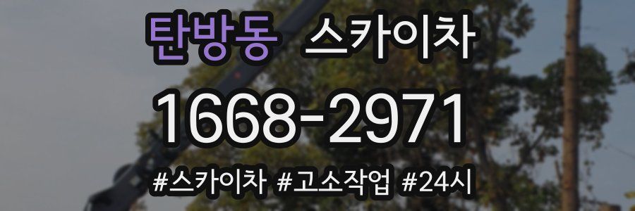 탄방동 스카이차