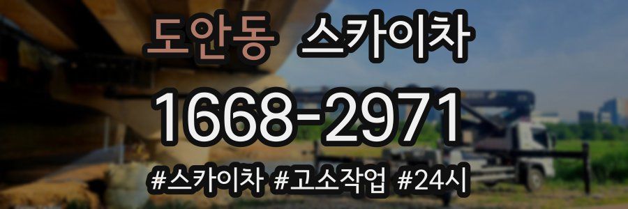 도안동 스카이차