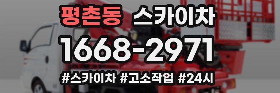 평촌동 스카이차