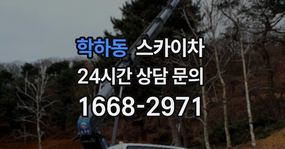 학하동 스카이차