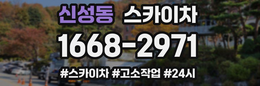 신성동 스카이차